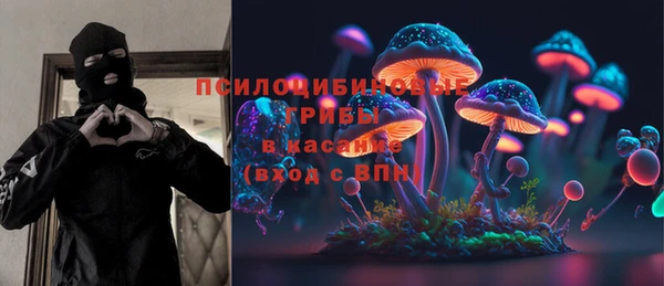 СК Белокуриха