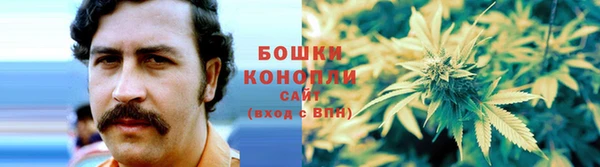СК Белокуриха