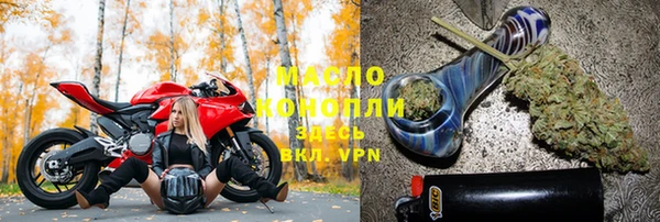 молекула духа Вяземский