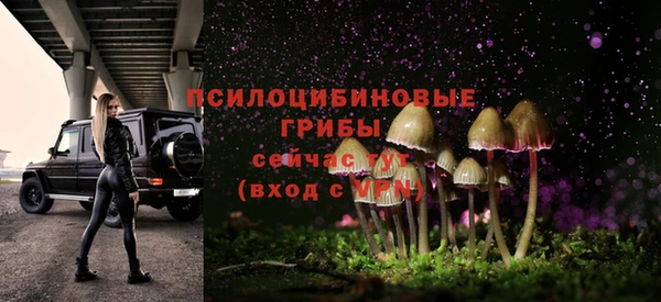 бошки Богданович