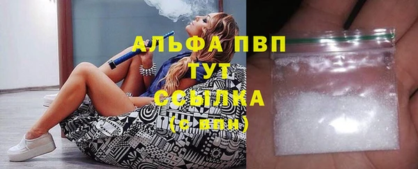 СК Белокуриха