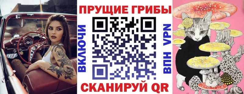 Галлюциногенные грибы Psilocybine cubensis  Реж 