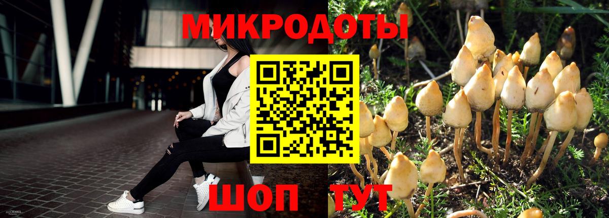 Реж  Псилоцибиновые грибы Cubensis  Псилоцибиновые грибы Magic Shrooms  Вход с VPN 